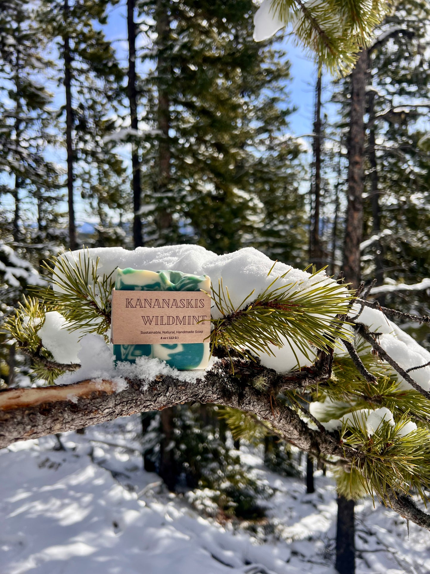 Kananaskis Wildmint | Shea, Cocoa & Hemp Seed Oil