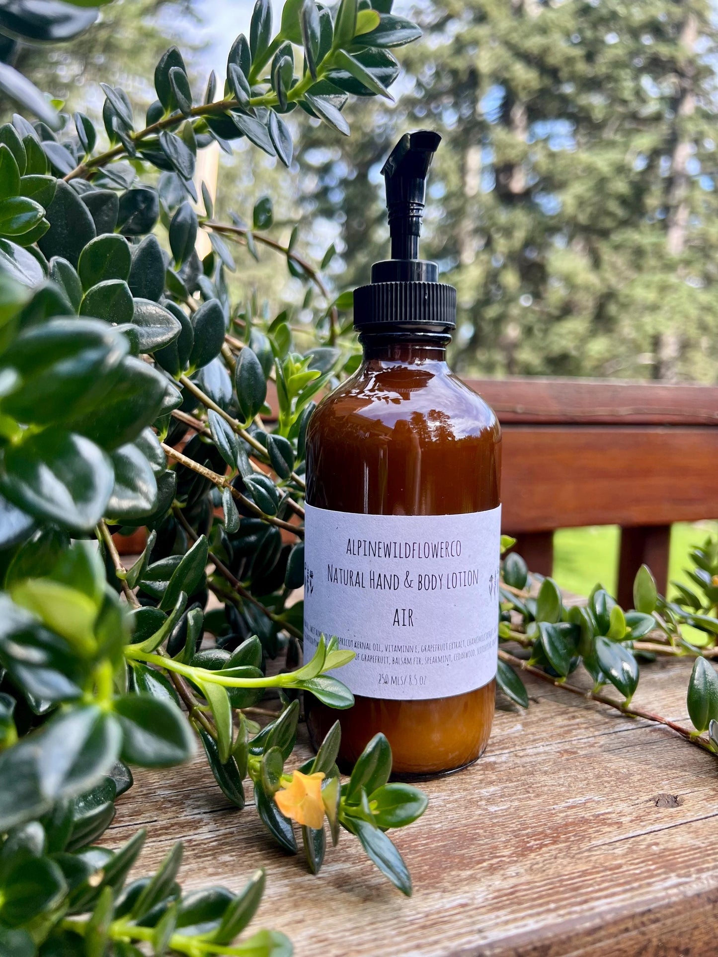 Hand & Body Lotion | Mango & Shea, Hydrating Skincare