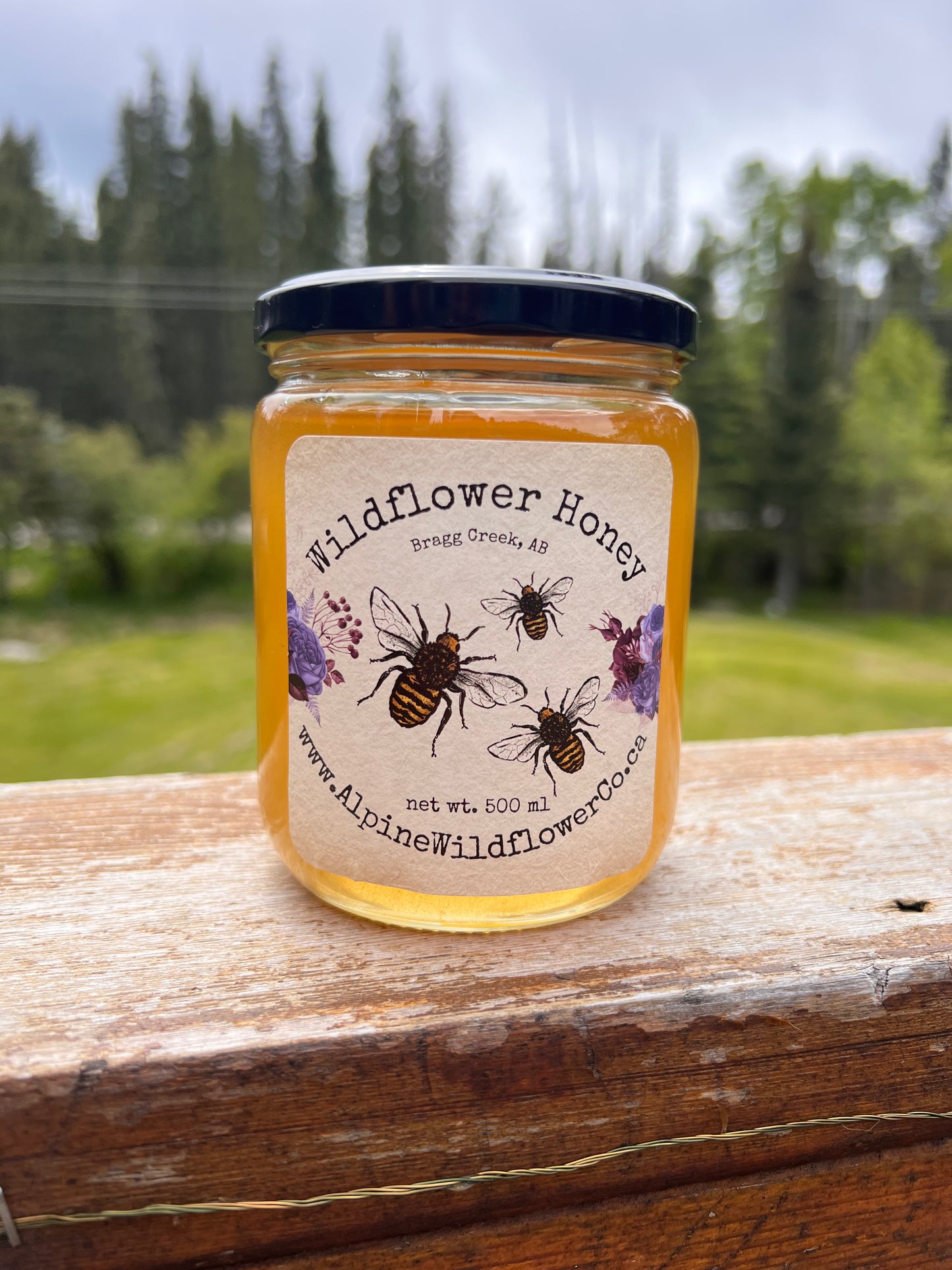 Raw Honey 500ml | Bragg Creek, AB
