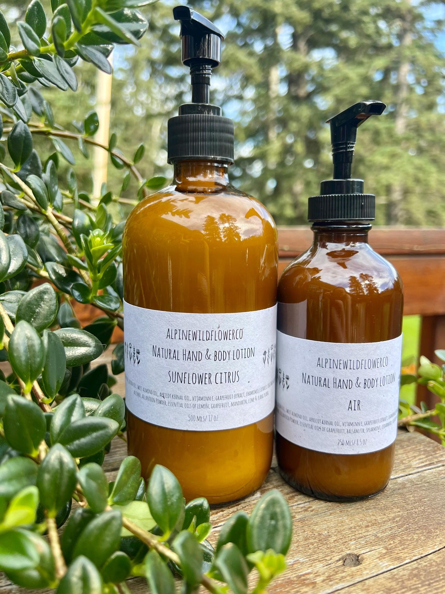 Hand & Body Lotion | Mango & Shea, Hydrating Skincare